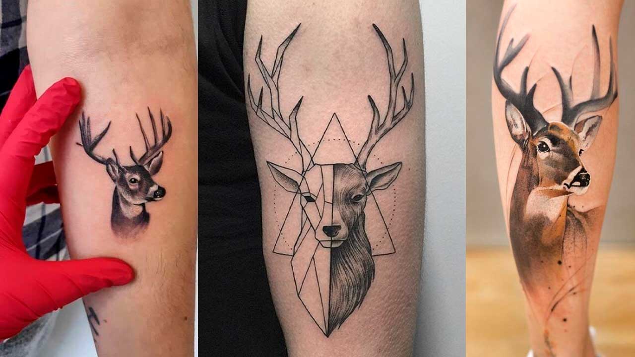 Tatuajes De Ara As Significado Y Mejores Dise Os