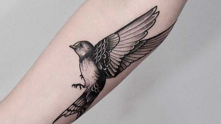 Tatuajes de aves
