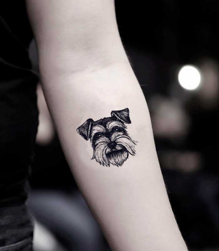 Tatuajes de perros schnauzer