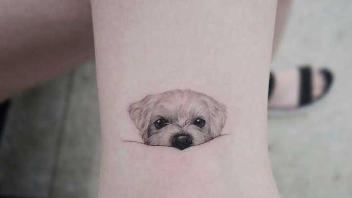 tatuajes de perros maltes