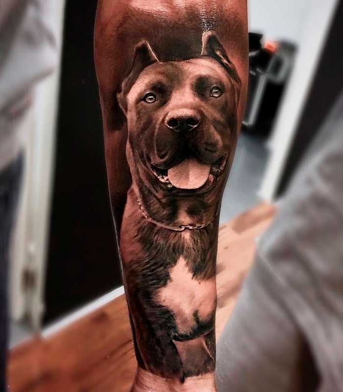 tatuajes de perros pitbull