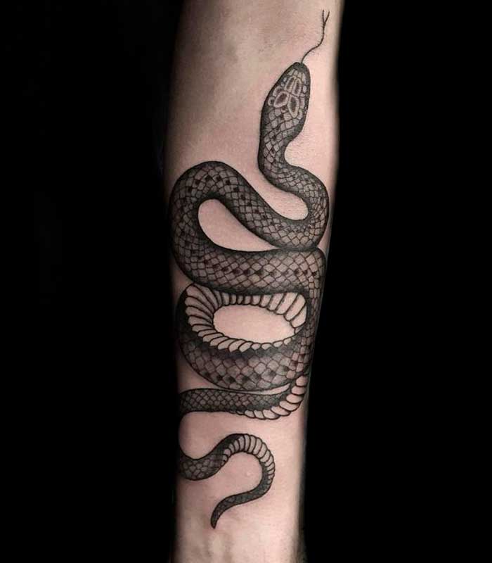 tatuajes de serpientes en el brazo