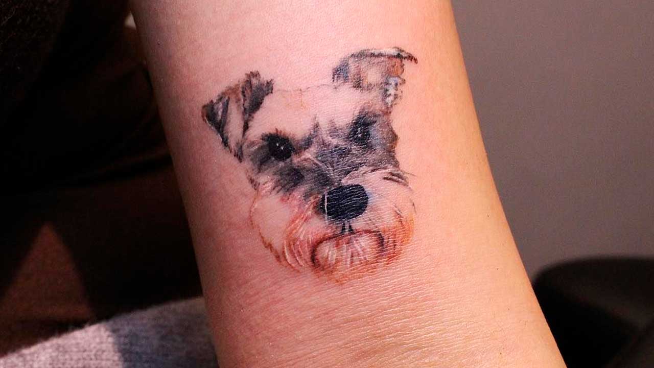 Tatuajes de perros schnauzer