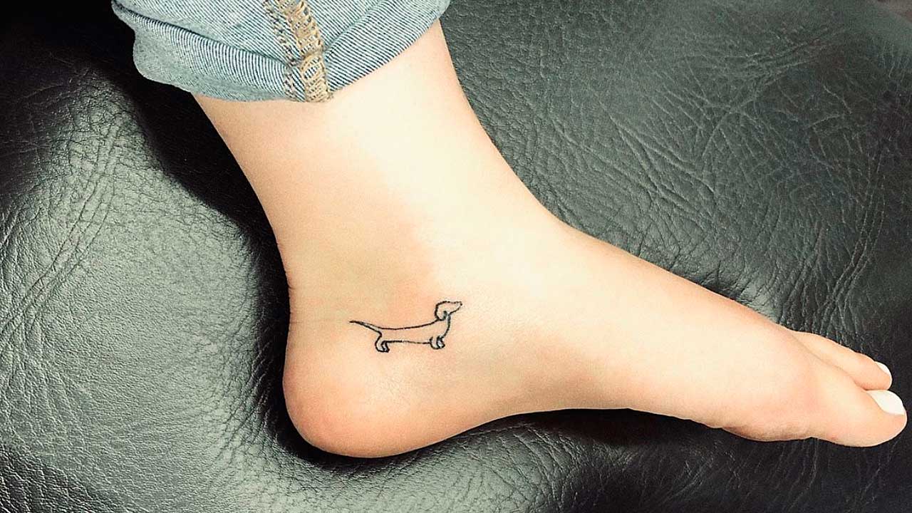 perros salchicha tatuajes