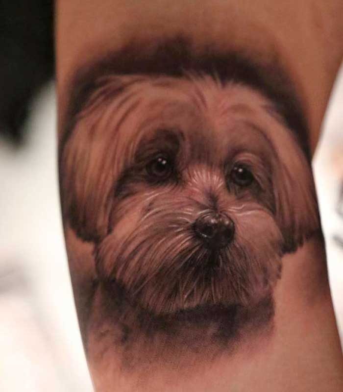 rostros de perros tatuajes