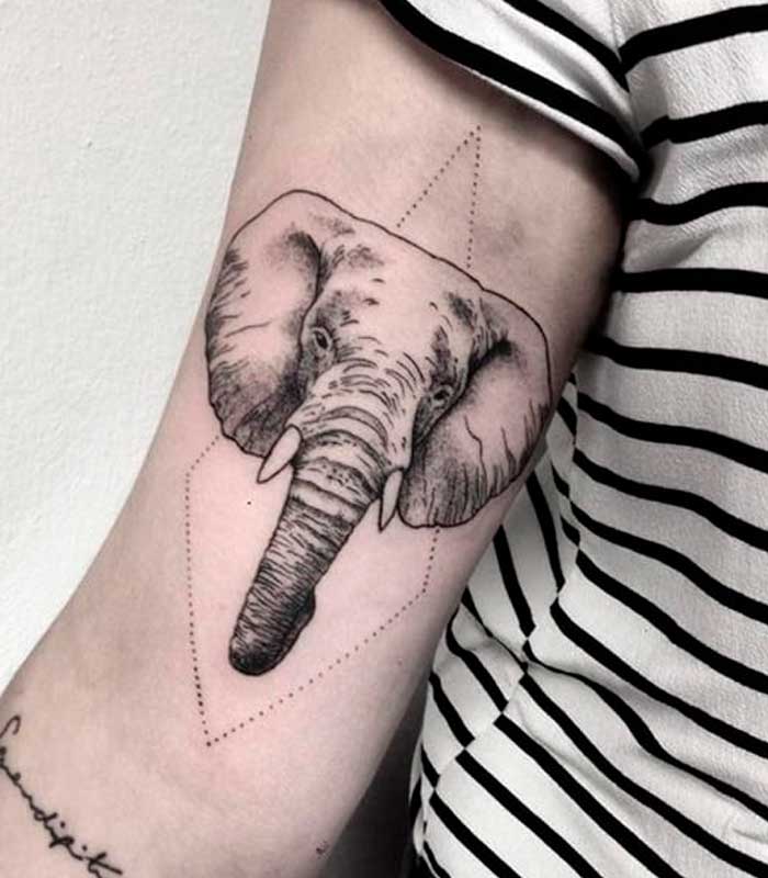 tattoos de elefantes en el brazo