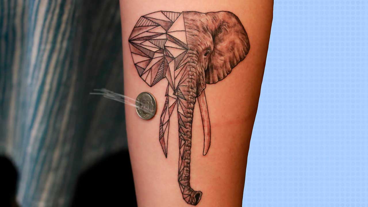 tattoos de elefantes para caballeros