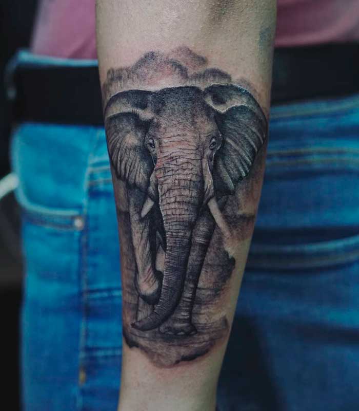tattoos de elefantes para chicos