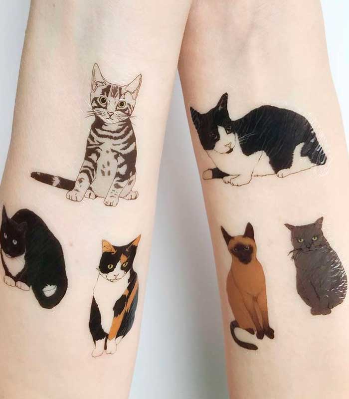 tattoos de gatos originales