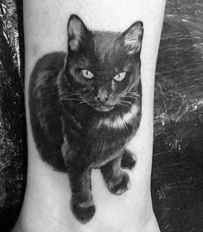 tattoos de gatos para chicos