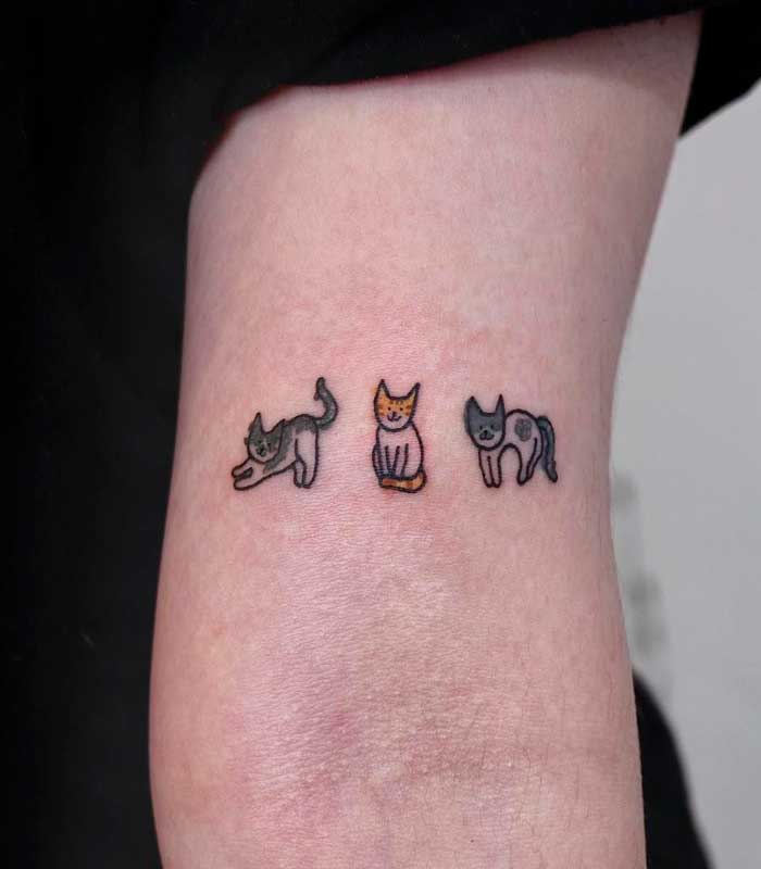 tattoos de gatos pequenos