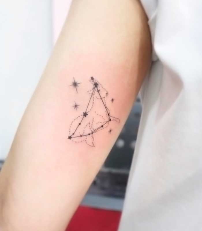 tattoos de la constelacion de capricornio