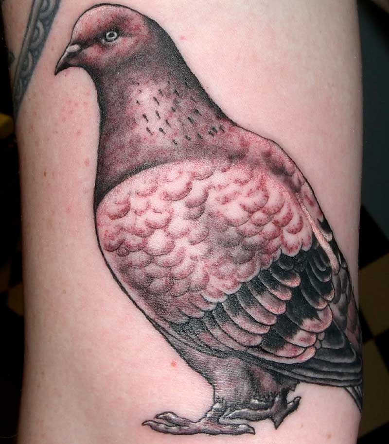 tattoos de palomas 5