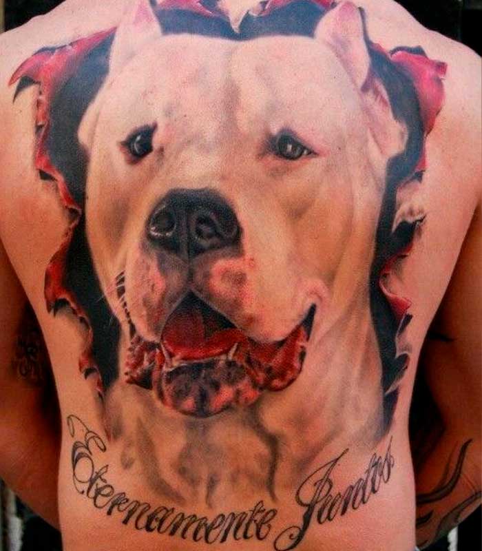 tattoos de perros pitbull