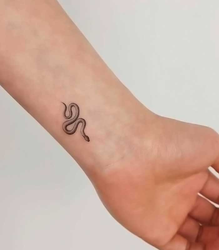 tattoos de serpientes pequenos