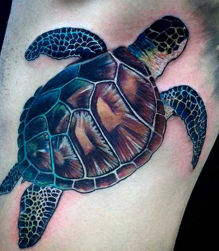 tattoos de tortugas para caballeros