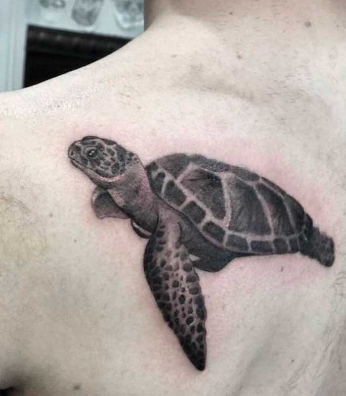 tattoos de tortugas para chicos