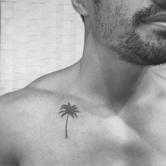 tattoos palmeras hombre
