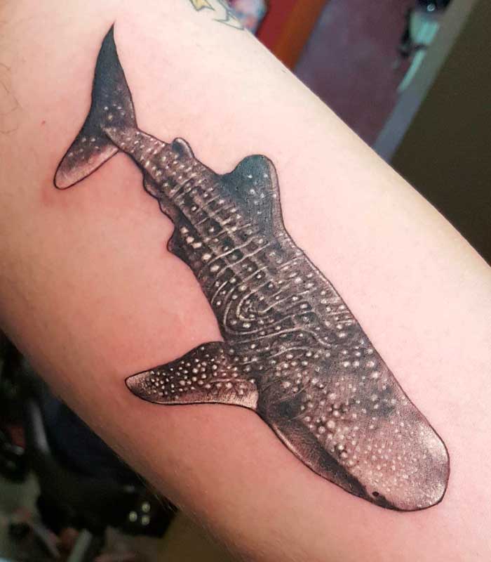 tatuaje de tiburon ballena
