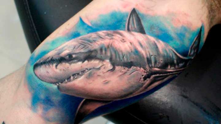 tatuaje de tiburon toro