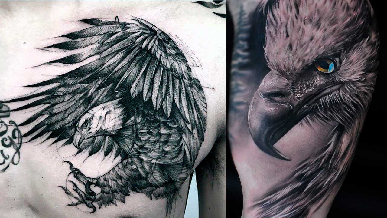 Tatuajes de águilas: 🦅 Significado y mejores diseños