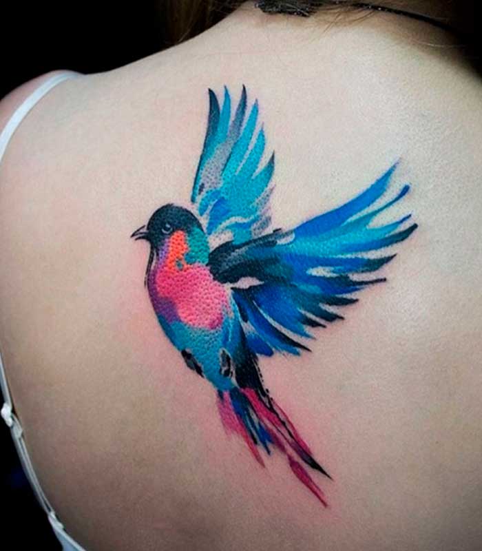tatuajes de aves con colores