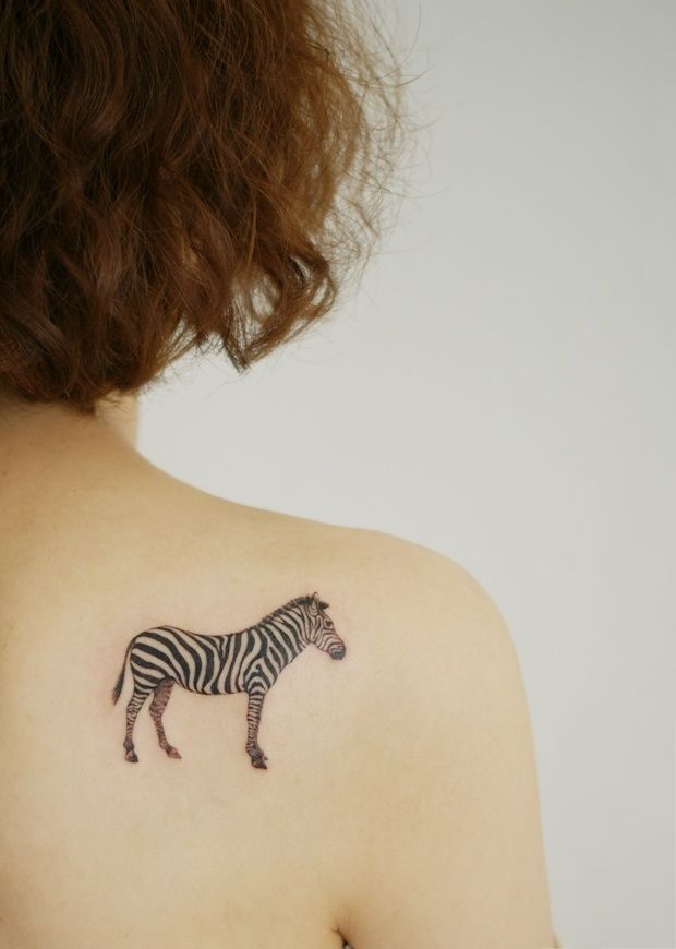 tatuajes de cebras para chicas