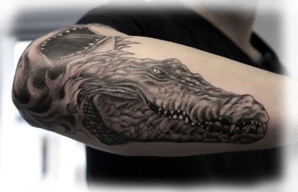 tatuajes de cocodrilos para chicos