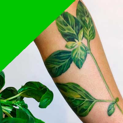 tatuajes de color verde significadodetatuajes.org