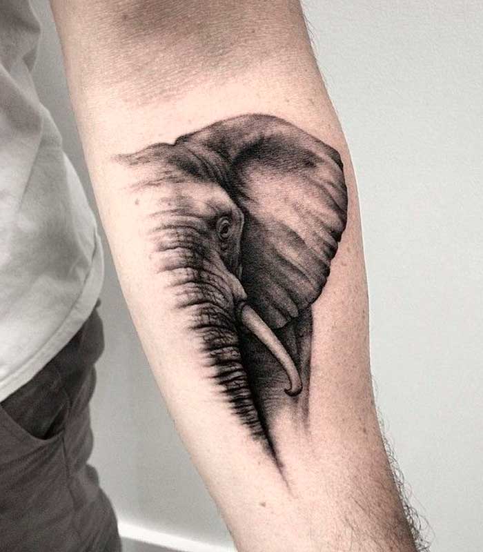 tatuajes de elefantes para hombres
