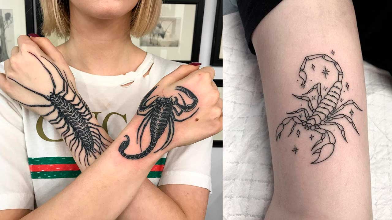 Tatuajes de escorpiones: 🦂 Significado y mejores diseños