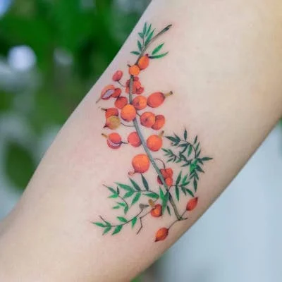 Tatuajes de comidas, bebidas y frutas: 🍔🍍🍷 + 100 imágenes 71 tatuajes de frutas 9