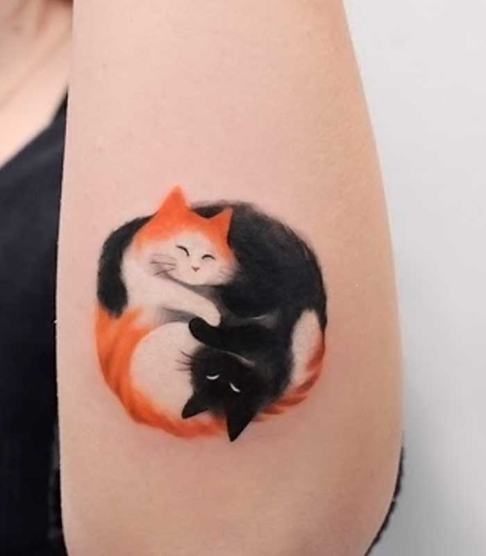 tatuajes de gatos negros y naranjas