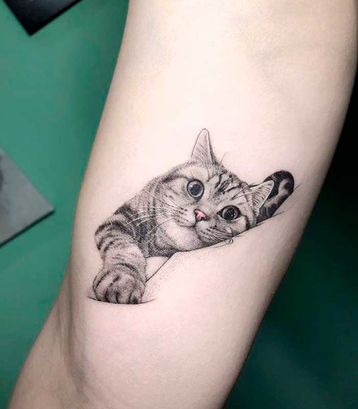 tatuajes de gatos para chicos