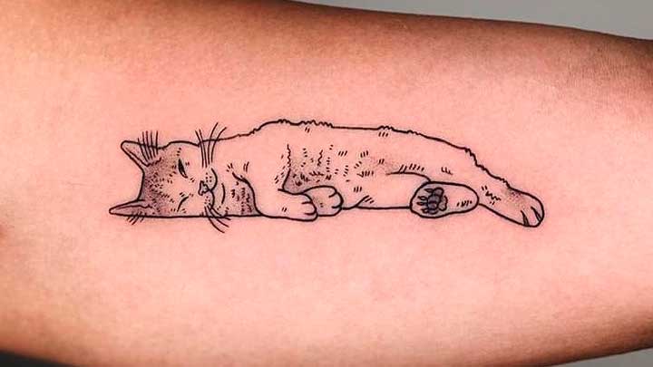 tatuajes de gatos para damas