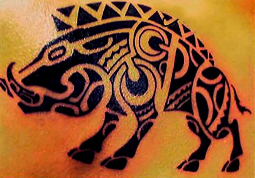 tatuajes de jabalies tribales