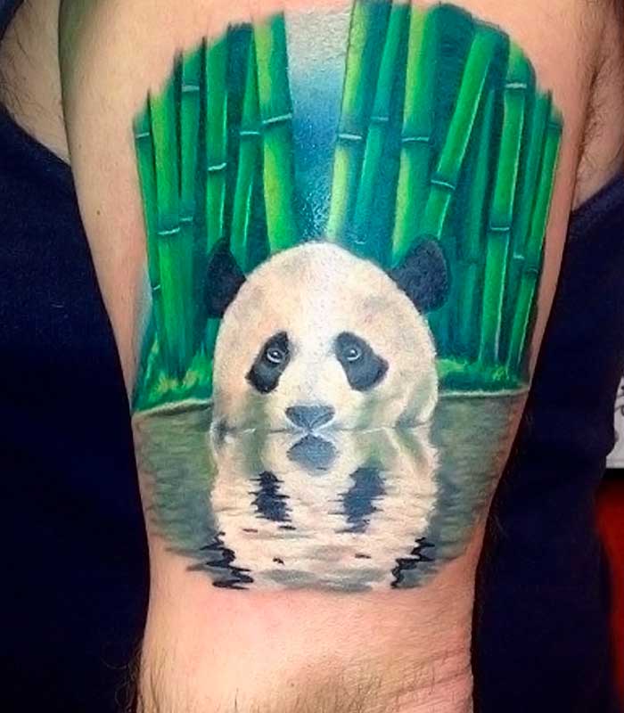 tatuajes de osos panda con bambu