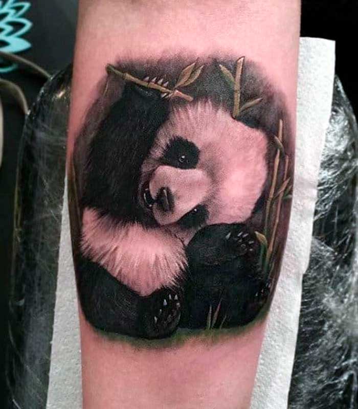 tatuajes de osos panda para caballeros