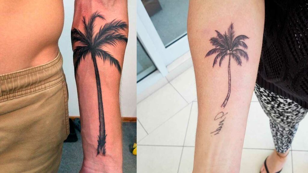 tatuajes de palmeras