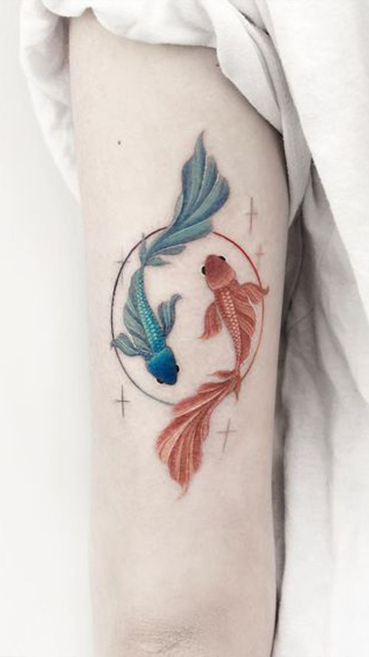tatuajes de peces chinos 3