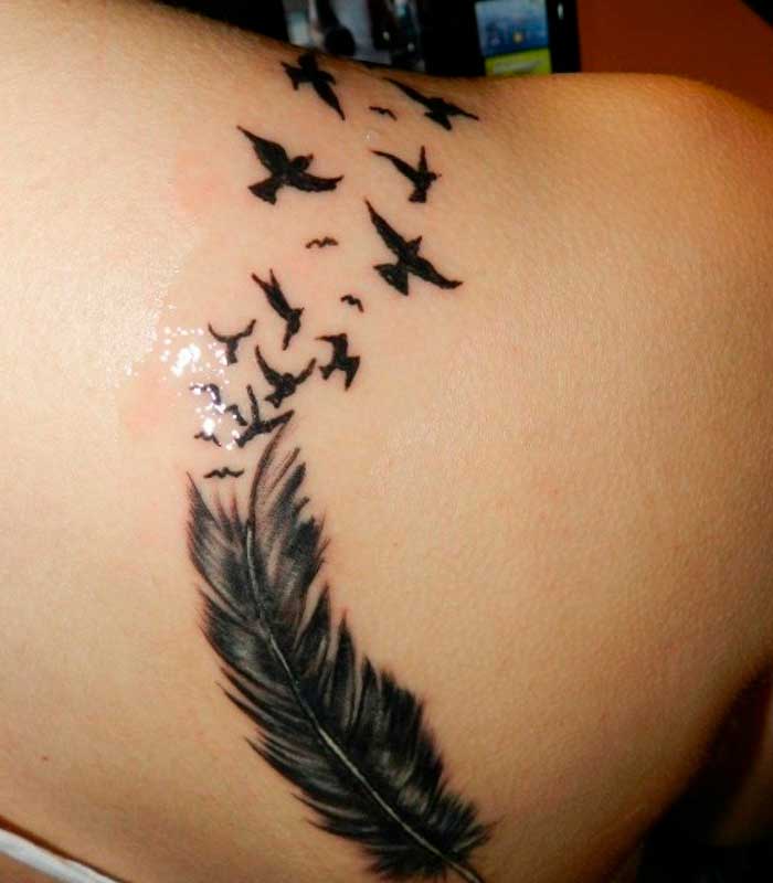 tatuajes de plumas y pajaros