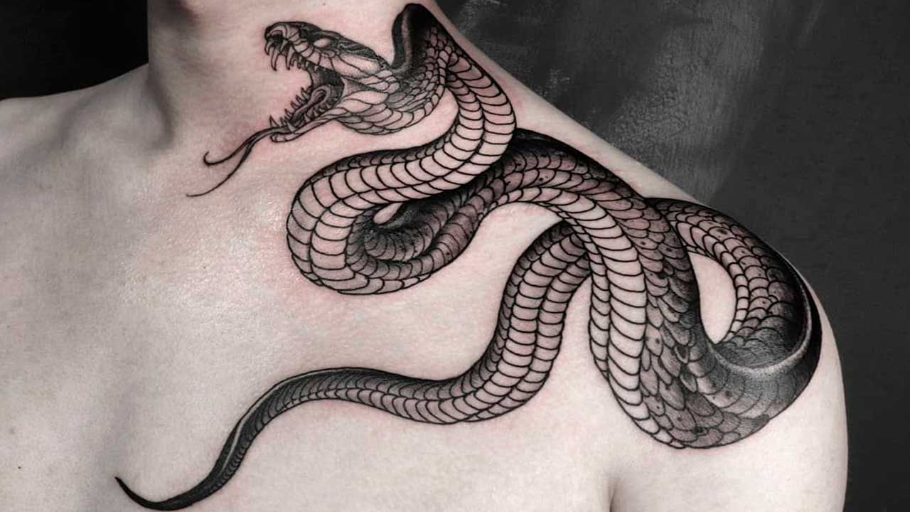 tatuajes de serpientes para hombres