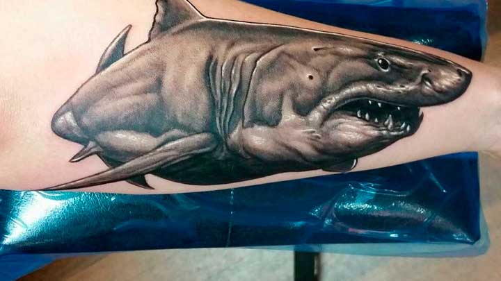 tatuajes de tiburon blanco