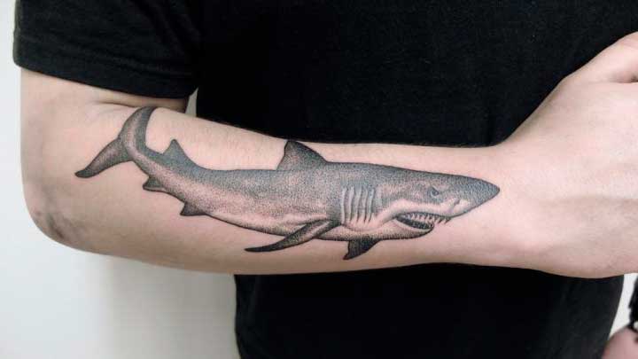 tatuajes de tiburones en el brazo
