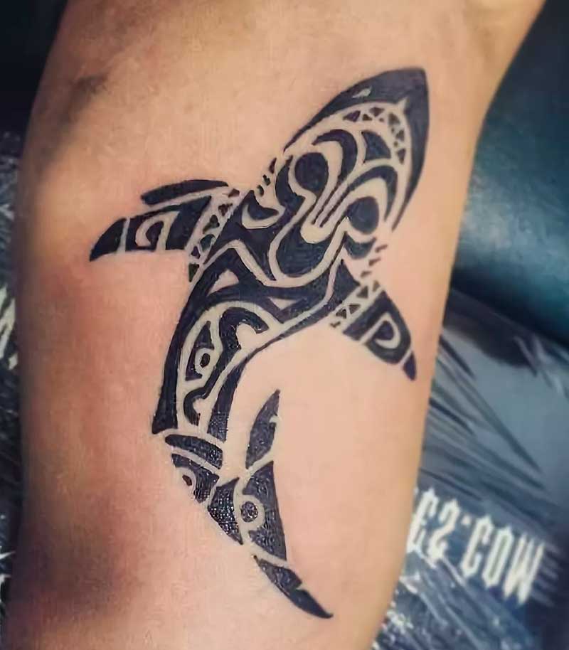 tatuajes de tiburones polinesios 2