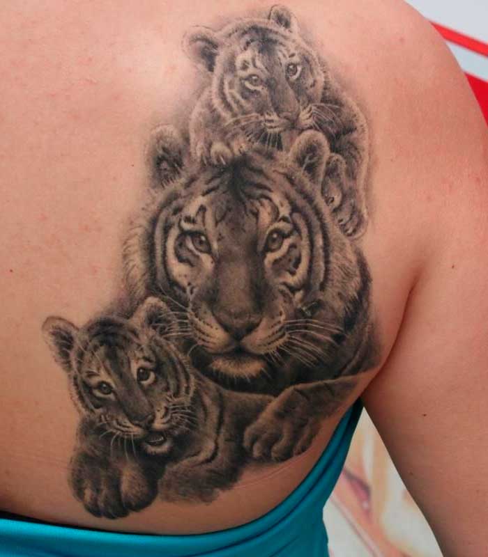 tatuajes de tigres con crias