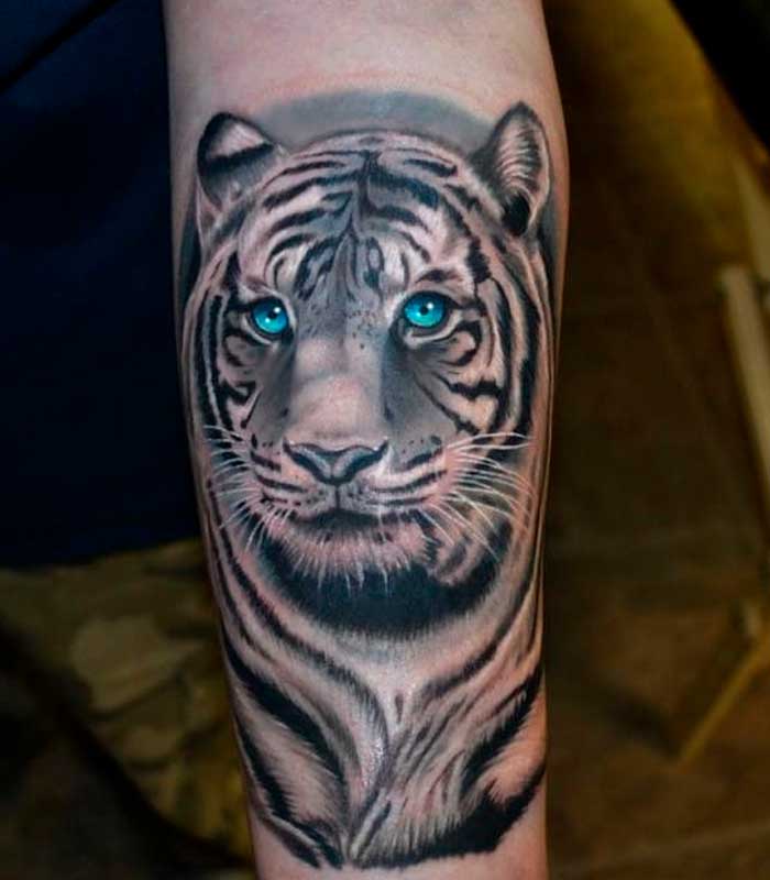 tatuajes de tigres de bengala