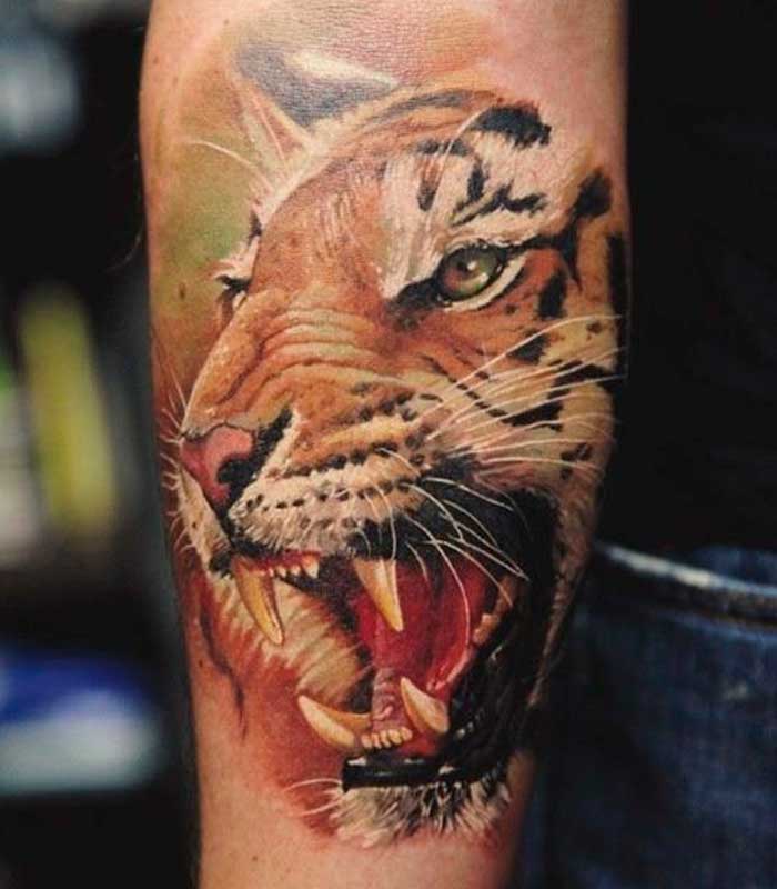 tatuajes de tigres en el brazo
