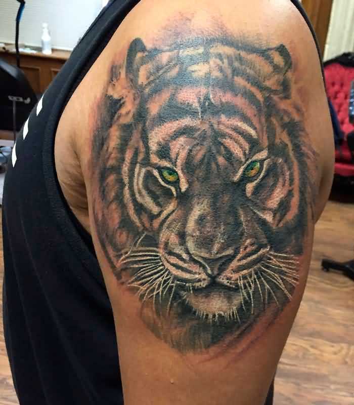 tatuajes de tigres en el hombro