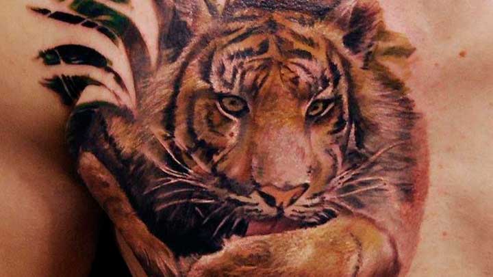 tatuajes de tigres en el pecho